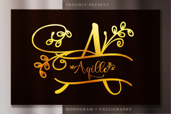 Aqille: A Stylish Font for Business Branding