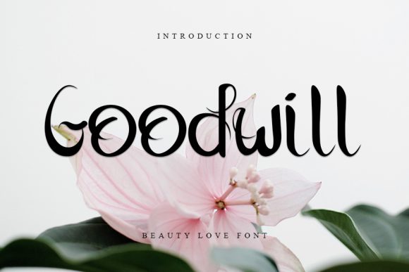 Goodwill: A Cool Handwritten Font